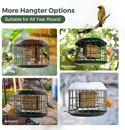 Kingsyard Squirrel Proof Suet Feeder, Cage Bird Feeders for Outdoors Hanging, All Metal, Double Suet Cake Capacity, Tray & Weatherproof, Green