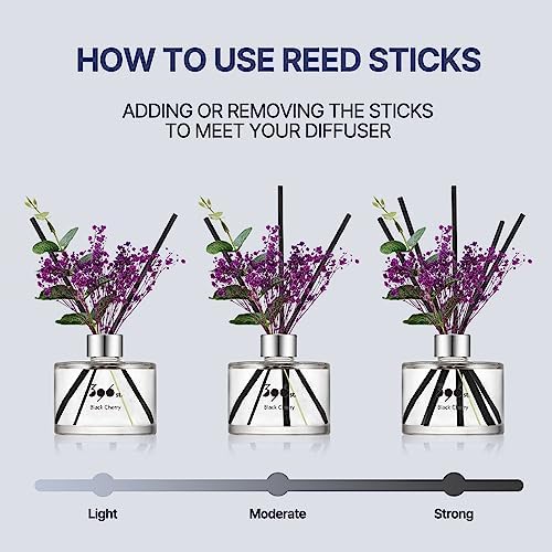 396 st. Preserved Baby's Breath Flower Reed Diffuser, Pure Cotton, 200ml(6.7oz) / Reed Diffuser Sets, Home Fragrance, Scented Oils, Home & Bathroom Décor