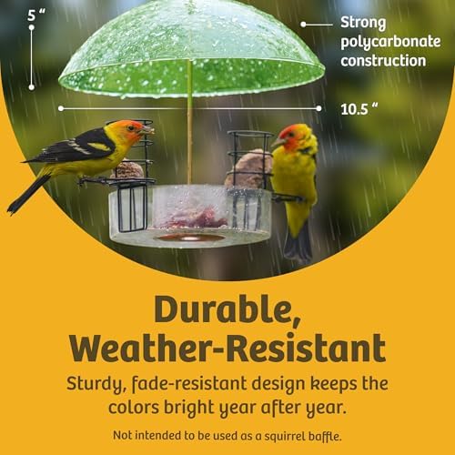 Birds Choice Bird Feeder Dome with Hanger | 10.5in Rain Guard Cover, Orange