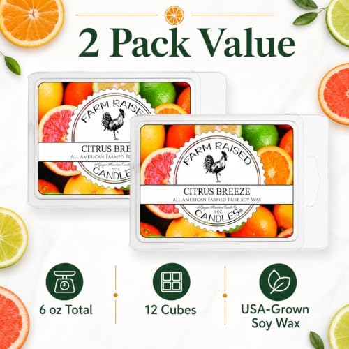 Citrus Breeze Soy Wax Melts, 2 Pack