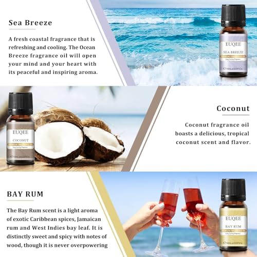 EUQEE Summer Holiday Island Fragrance Oil Gift Set of 6 for Humidifier