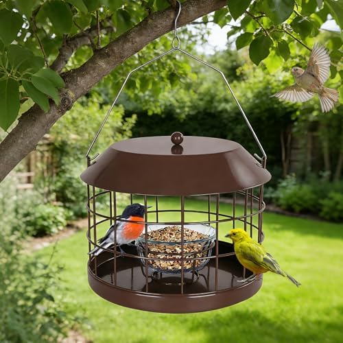 Gbekery Bluebird Feeder for Mealworms with Glass Bowl for Outdoors, Brown