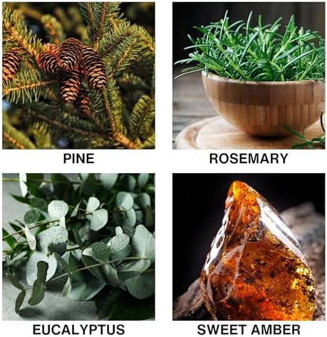 Misty Pines Scent Reed Diffuser – Luxury Reed Diffuser with Fresh Pine, Eucalyptus, Rosemary & Sweet Amber – Long Lasting, Crafted by Perfumers Home Fragrance – 150ml