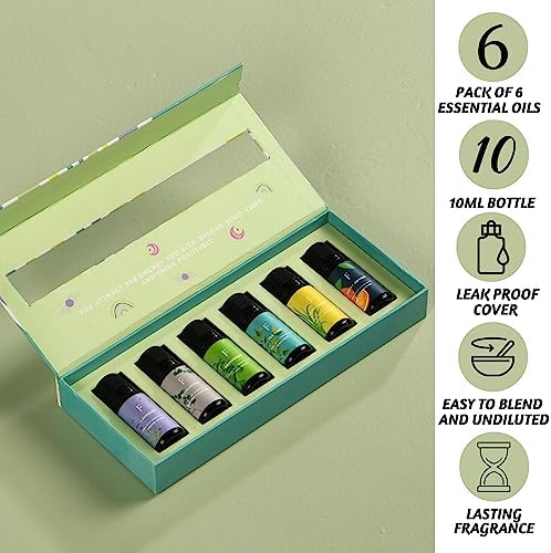 Folkulture Pure Essential Oil | Set of 6 Essential Oils for Diffuser for Home | Oil Diffuser Essential Oil | Summer Essential Oils for Candle Making - Lavender, Eucalyptus