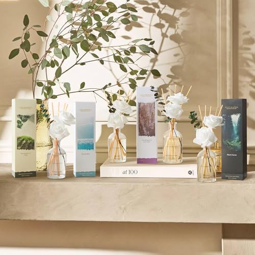 COCORRÍNA Reed Diffuser Black Forest 6.76 fl oz Home Bathroom Fragrance