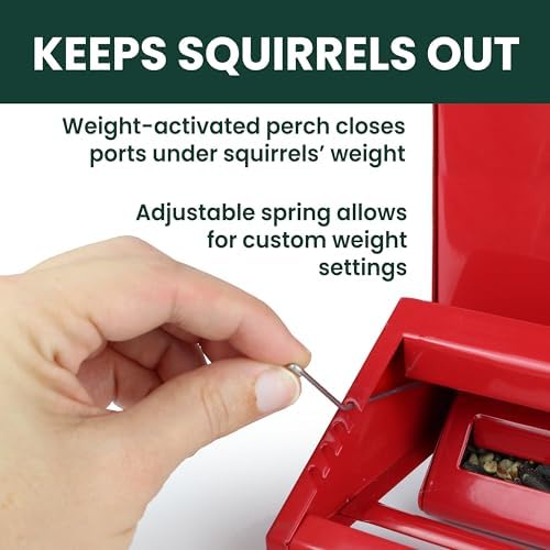 Perky-Pet Squirrel-Be-Gone II Country Style Bird Feeder, 8 lb Seed Capacity
