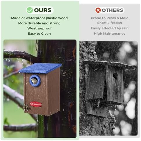 Kingsyard Wren Bird House with Predator Guard, Recycled Poly Lumber