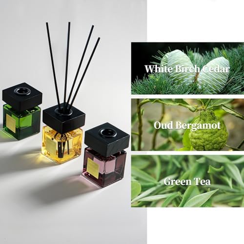 Reed Diffuser Set of 3, 50ml