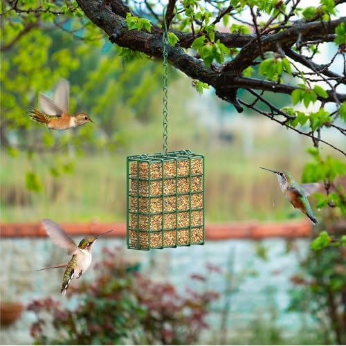 Bird Feeder for Outdoors, Suet Feeder for Outside Hanging Suet Basket Cage