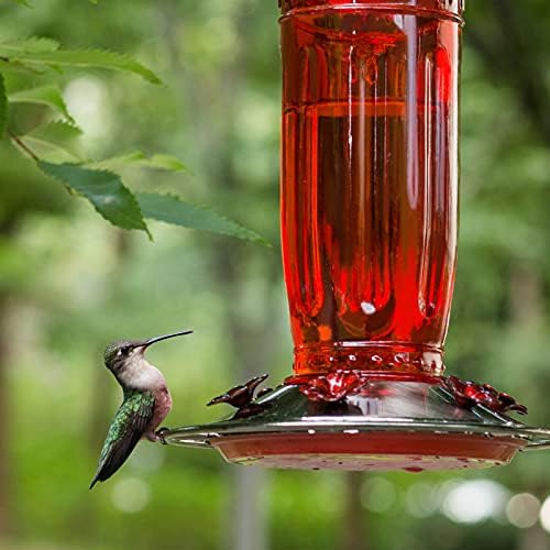 Kingsyard Glass Hummingbird Feeder for Outdoors Wild Bird Feeder with 6 Feeding Ports Hanging for Garden Yard, Red (Ant Moat Included)