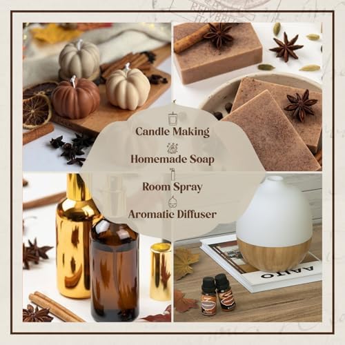 ARVIDSSON Autumn Spice Essential Oils Set, Fall Essential Oil for Diffuser - Cinnamon, Pumpkin Pie, Harvest Spice, Apple Cider, Gingerbread, Snickerdoodle, Cozy Fragrance Oils
