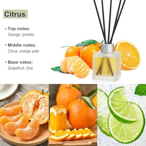 Reed Diffuser, Citrus & Orange Scented Oils Home Fragrance