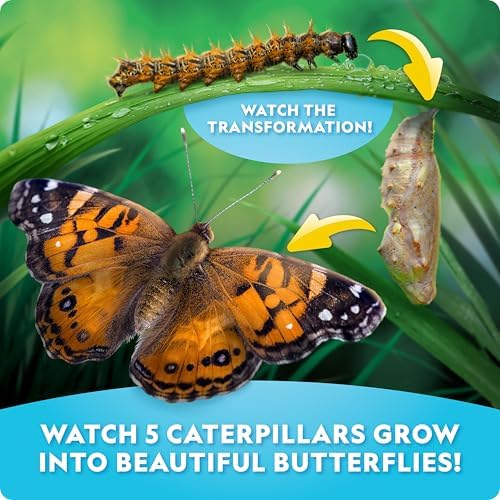 National Geographic Ultimate Butterfly Growing Kit - Butterfly Activity Kit with Voucher for 5 Live Caterpillars, Butterfly Cage, Butterfly Feeder