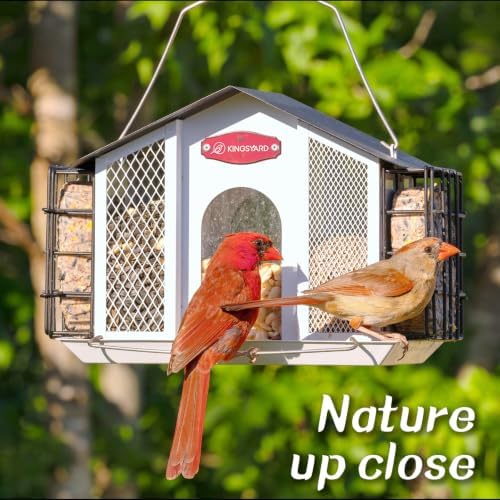 Kingsyard 4-in-1 4 Lbs Large Metal Bird Feeder for Outdoor Hanging