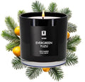 Lulu Candles | Evergreen Yuzu | Luxury Scented Soy Jar Candle | Hand Poured in The USA | Highly Scented & Long Lasting (9 Oz.)