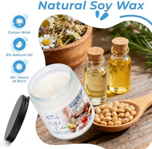 Winter Forest Candle | Pine & Cedarwood Scented Soy Candles - Aromatherapy Candles for Home, Holiday Candle Gift for Women & Men, Winter Christmas Home Décor