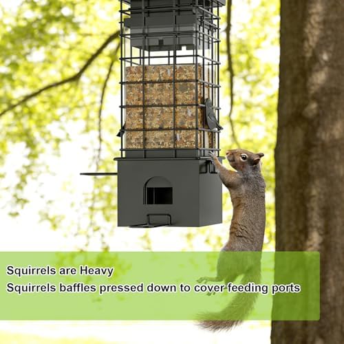 Metal Squirrel Proof Bird Feeder,2.5LB Capacity,Easy Refill & Clean