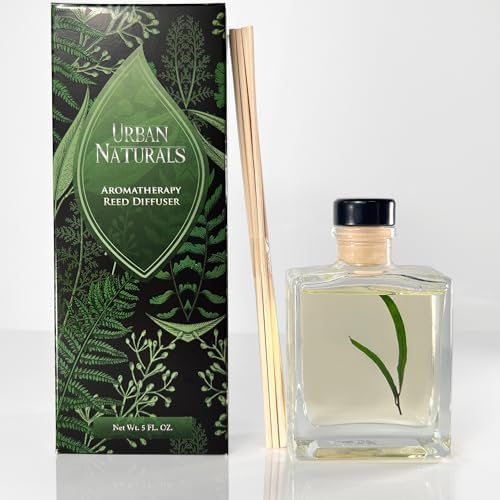 Urban Naturals Reed Diffuser Set, Eucalyptus Sage - Bathroom Shelf Décor