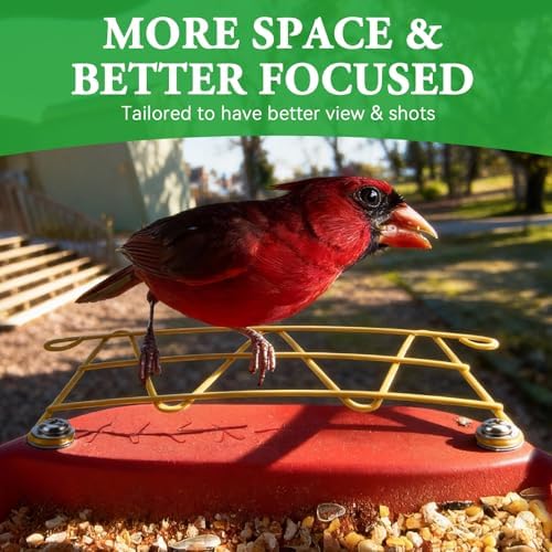 Perch Extender Accessories for BirdBuddy Feeders in Metal