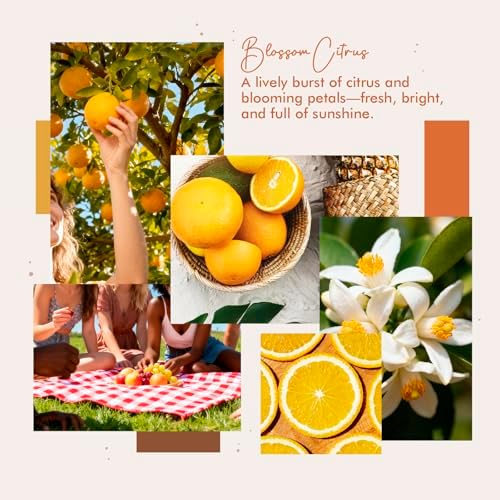 Room Spray, Blossom Citrus, 4 fl oz, Air Freshener for Home, Bathroom