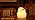 LOVERUIS Baby Night Lights Pudgy Penguins 7 Colors Night Light for Baby Nursery 3 Hours Timer Cute Night Light Gift Kid Penguin