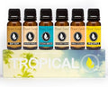 Eternal Essence Oils Tropical Set of 6 Premium Fragrance Oils - Includes Coconut Cream, Bay Rum, Pina Colada, Tahitian Vanilla, Ocean Breeze, and Pineapple Scented Oils - 10ML