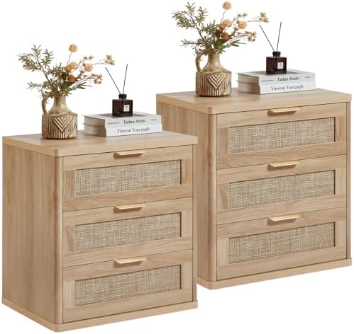 LEYAOYAO Rattan 23" Nightstands Set of 2 with Drawers for Bedroom