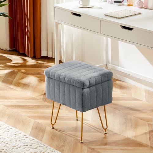 DUMOS Vanity Stool Chair, Ottoman with Storage for Living Room, Bedroom