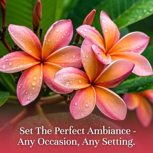 P&J Trading Fragrance Oil | Plumeria Oil 30ml - Candle Scents for Candle Making, Freshie Scents, Soap Making Supplies, Diffuser Oil Scents