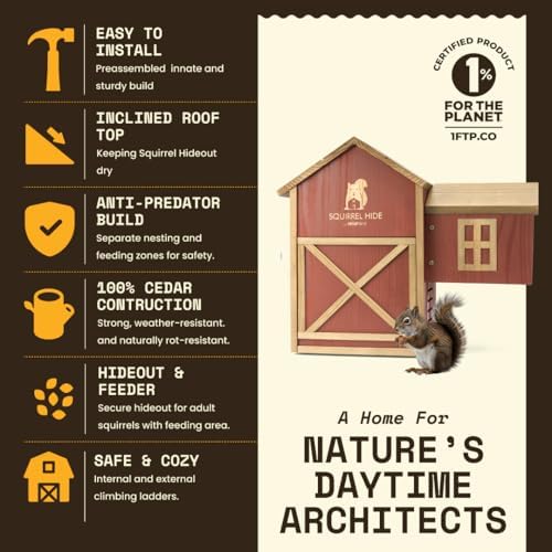 WildYard Squirrel House for Outside - Cedar, Dual Chamber with Ladder