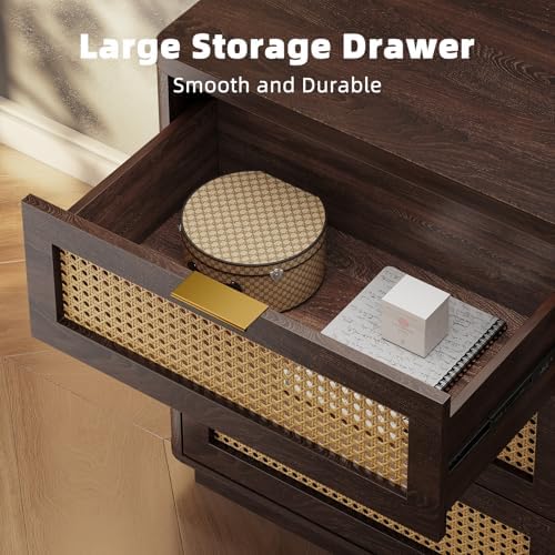 Kalrin 23" W Rattan Nightstand with 3 Drawers for Bedroom, Dark Walnut