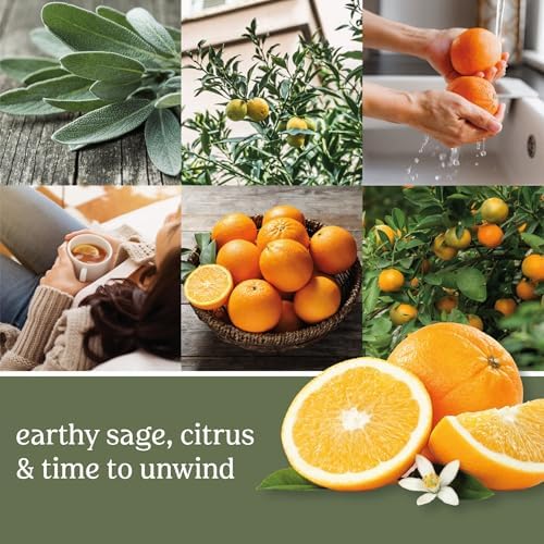 Yankee Candle Scented Wax Melts, Sage & Citrus, 18 Scent Cubes
