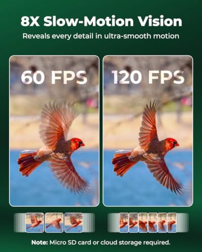 Solar Bird Feeder with Camera, 4K Auto Focus, Kiwibit Bird Feeder 2 Pro