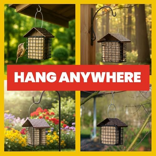More Birds Double Suet Cake Feeder, Weather Guard, Steel Construction