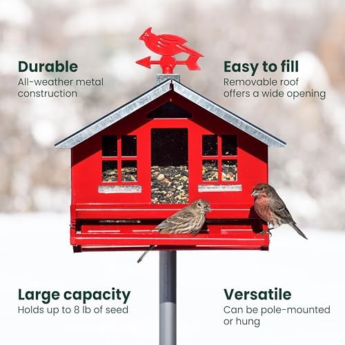 Perky-Pet Squirrel-Be-Gone II Country Style Bird Feeder, 8 lb Seed Capacity