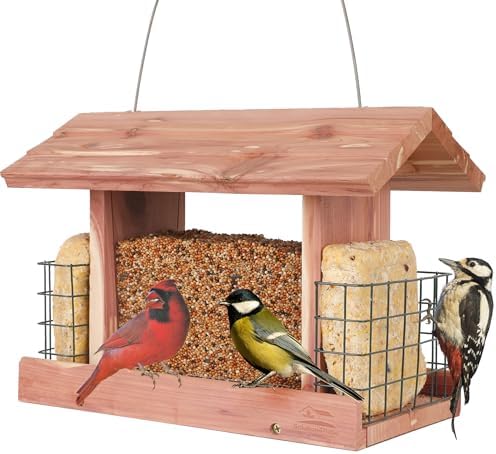 Solution4Patio Squirrel-Proof Cedar Hopper Bird Feeder, Dual Suet Holder