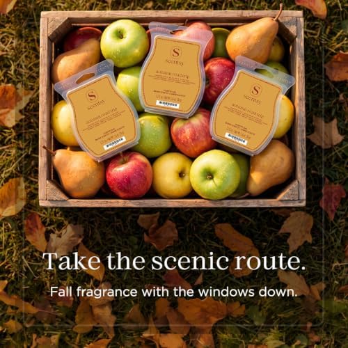 Scentsy Wax Melts, Autumn Road Trip 3 Bar Set, Paraffin Wax Cubes, 7.8 oz