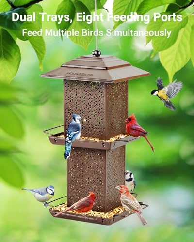 HouseSapp Bird Feeders for Outdoors Hanging - 6lb Large Capacity Metal Double Tier Bird Feeder,Chew-Proof, Weather and Water Resistant Wild Bird Feeders, Outside and Garden Decoration