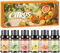 Citrus Essential Oils Set, Fruit Fragrance Oil for Diffusers,Scented Oil for Candle & Soap Making, Bitter Orange, Bergamot, Lemon, Grapefruit, Lime, Blood Orange, Aromatherapy Gifts