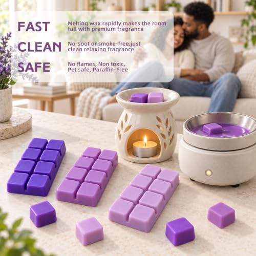SCENTORINI Wax Melts, Winter Scented Wax Cubes, Lavender Scent for Sleep
