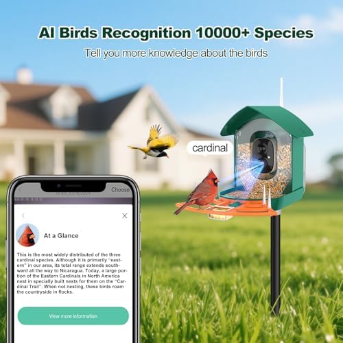 Bird Feeder with Camera,WiFi Smart Bird House with Cam Solar Powered