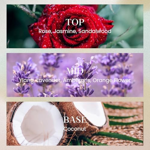 M&SENSE 6.3 oz Large Reed Diffuser Set | Oud Wood Scent Oil Diffuser with Sticks | Hotel Collection Non-Toxic Essential Oil |for Bedroom Bathroom Living Room