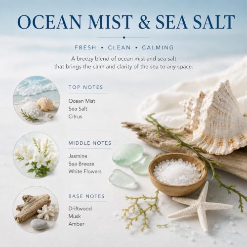 Airkeep Reed Diffuser Set,3.38 fl oz (100 ml) - Ocean Mist&Sea Salt Oil Diffusers with 8 Reed Sticks,Home Fragrance Reed Diffuser for Bathroom Shelf Decor