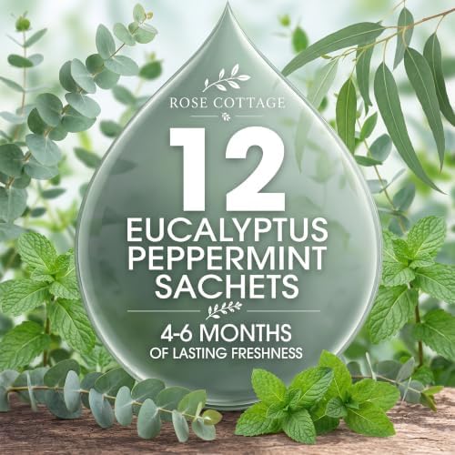 Large 12 Packs Eucalyptus Peppermint Hanging Scented Sachets Long-Lasting Closet Deodorizer Air Freshener Fabric Refresher Odor Eliminator for Drawer Home Fragrance Gift Set