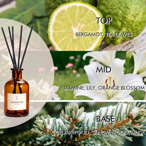Reed Diffuser Set, 8.12 fl.oz Jasmine Lily Scented Diffuser with Sticks