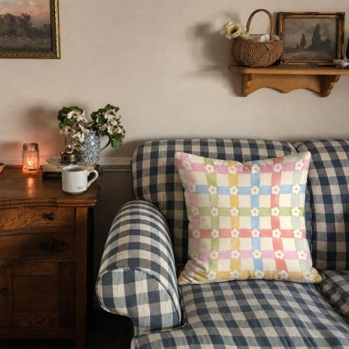 Cottagecore Floral Daisy Gingham Decor Pillow Cover 18x18