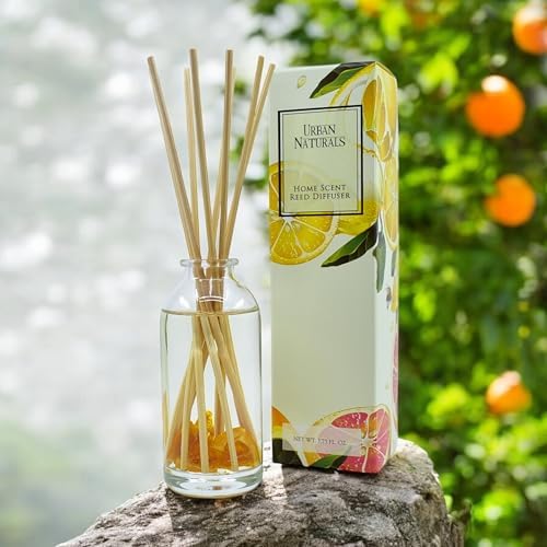 Urban Naturals Reed Diffuser Set, Citrus Bliss - Bathroom Shelf Décor