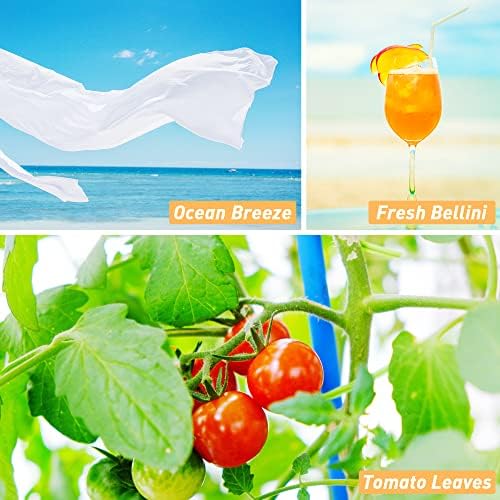 Summer Essential Oils, ESSLUX Premium Candle Fragrance Oil, Soap Making Scents, Essential Oils for Diffusers for Home, Ocean Breeze, Fresh Bellini, Rose Lychee, Tropical Fruits & More