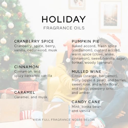 Eternal Essence Oils Holiday Set of 6 Premium Fragrance Oils - Candy Cane, Pumpkin Pie, Caramel, Cranberry Spice, Cinnamon and Mulled Wine - for Diffusers, Soap & Candle Making - 10ML