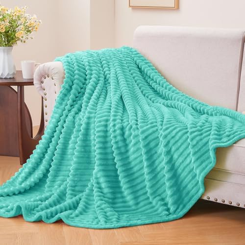 BEDELITE 3D Ribbed Jacquard Aqua Fleece Twin Blanket for Couch, 60x80 Inch